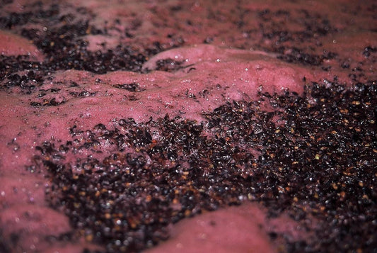 Wine Basics #2 - How do you make wine?